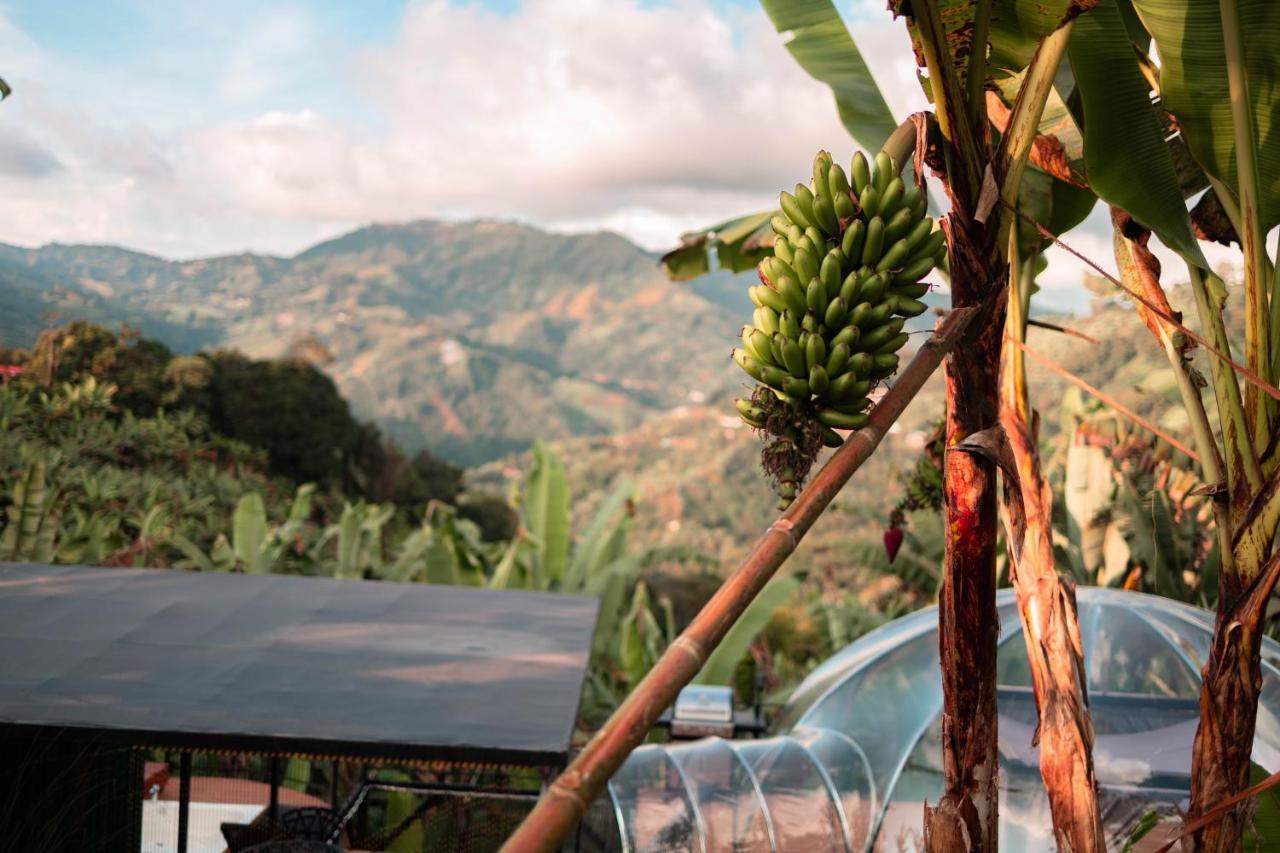 Сasa de vacaciones Chamí Glamping