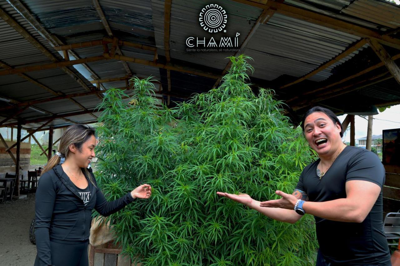 Сasa de vacaciones Chamí Glamping