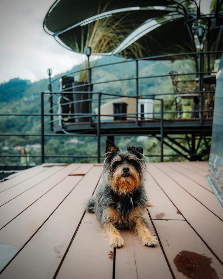 Chamí Glamping Сasa de vacaciones