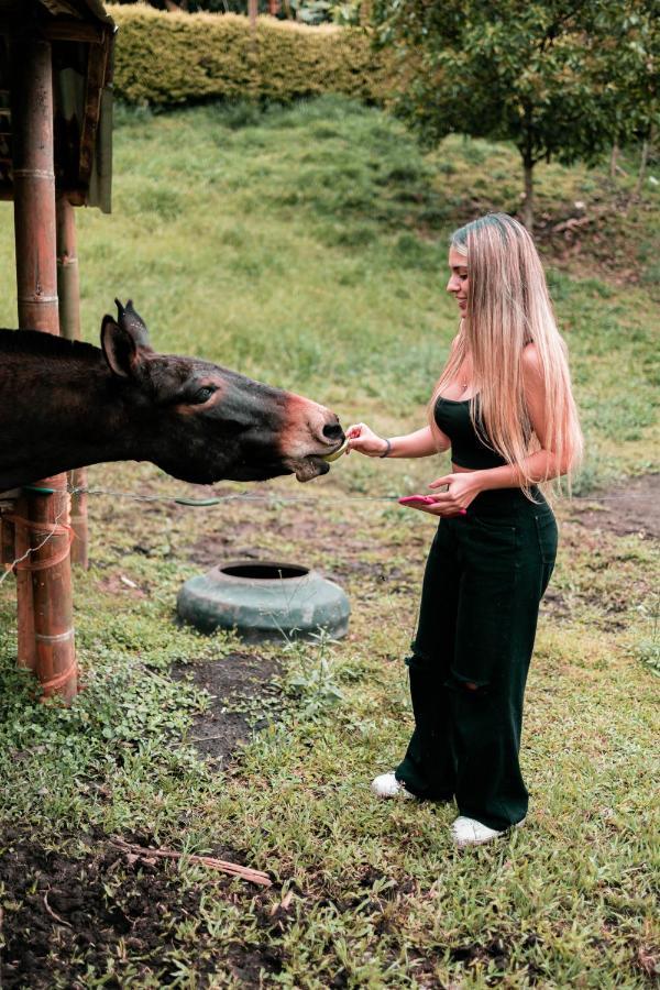 Chamí Glamping Manizales
