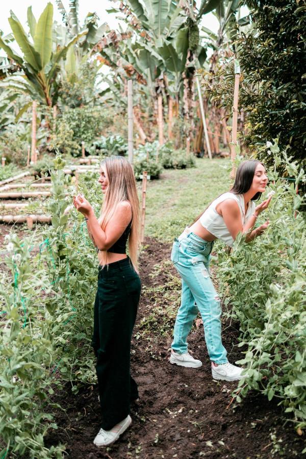Chamí Glamping * Manizales