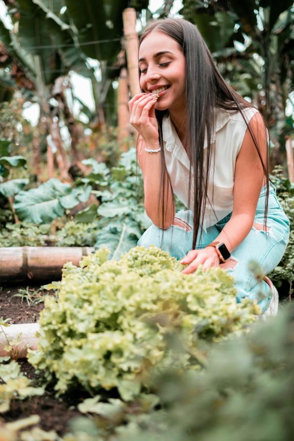 Chamí Glamping Manizales