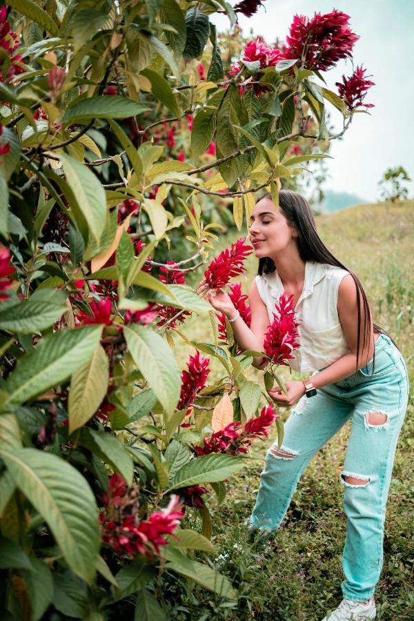 Chamí Glamping * Manizales