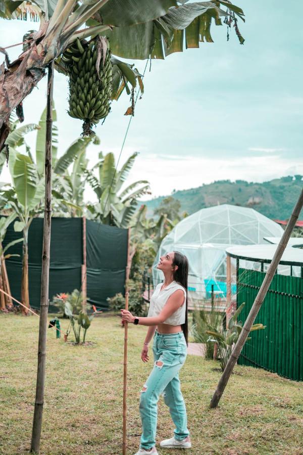 Chamí Glamping Manizales