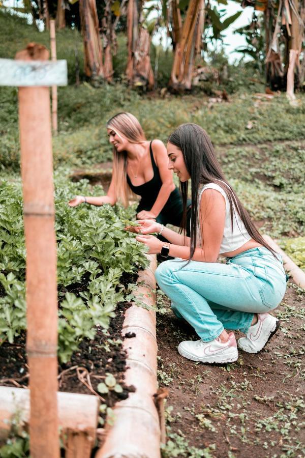 Сasa de vacaciones Chamí Glamping